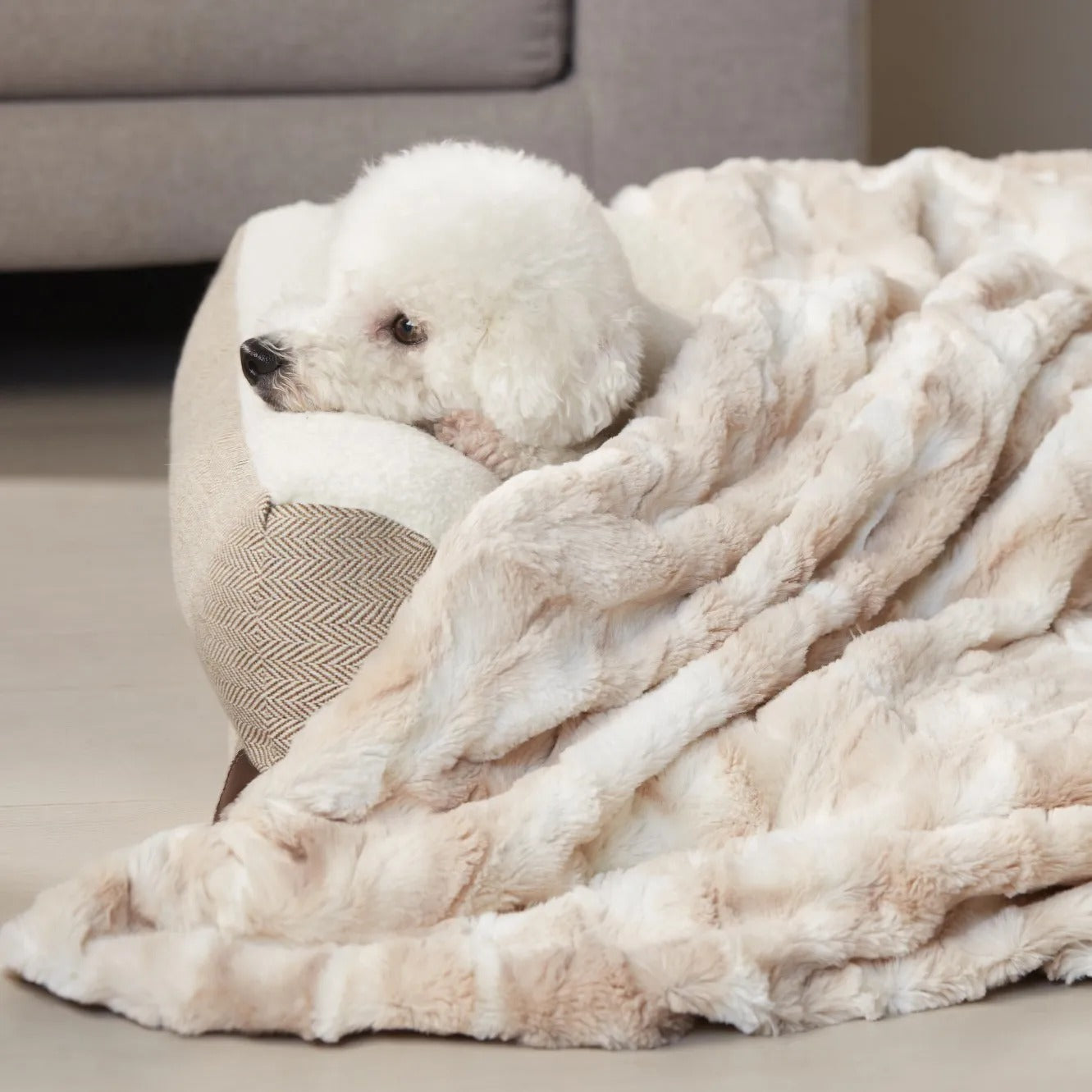 Eco Friendly Plush Pet Dog Blanket 28x40 Inches