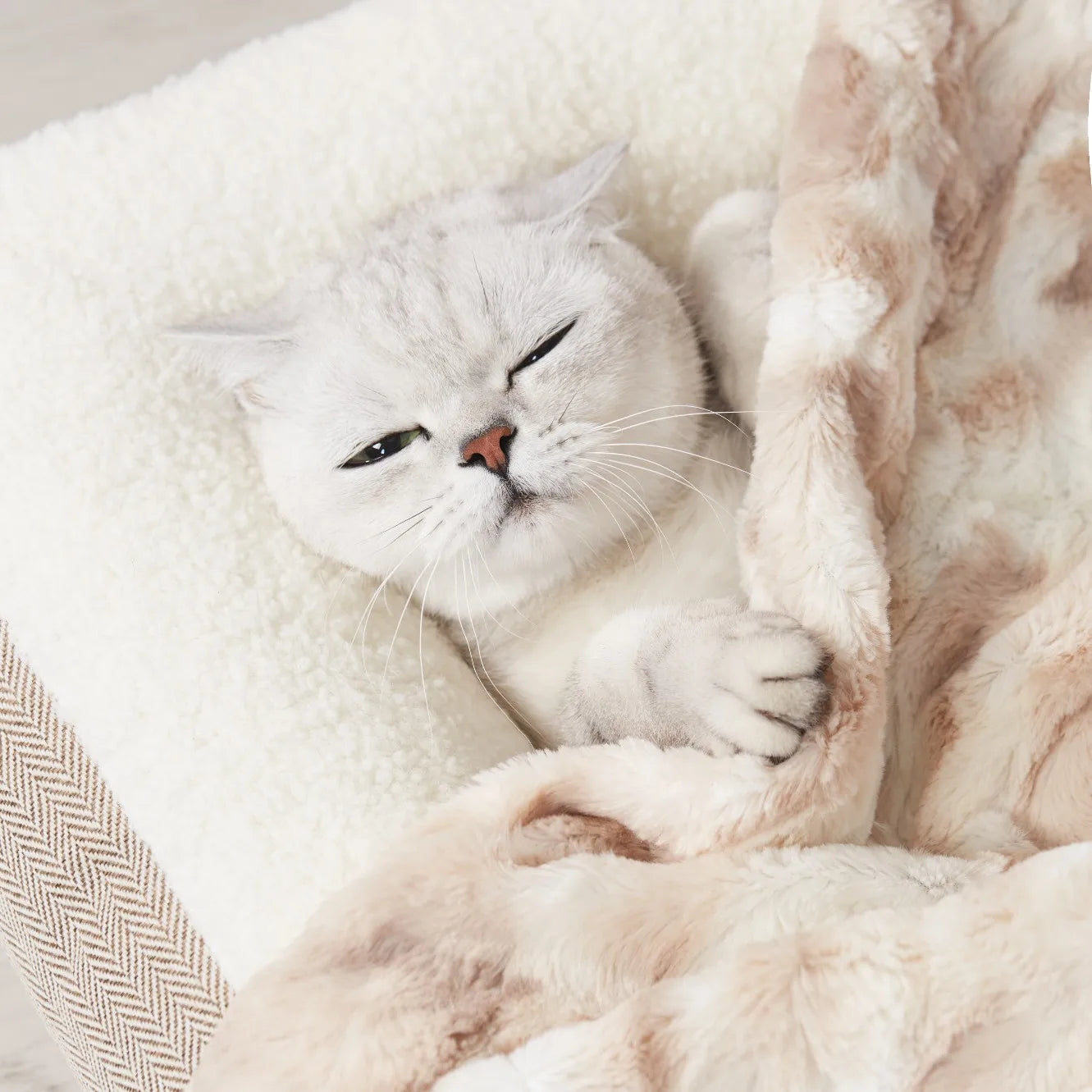 Premium Plush Pet Blanket for Cat and Dog