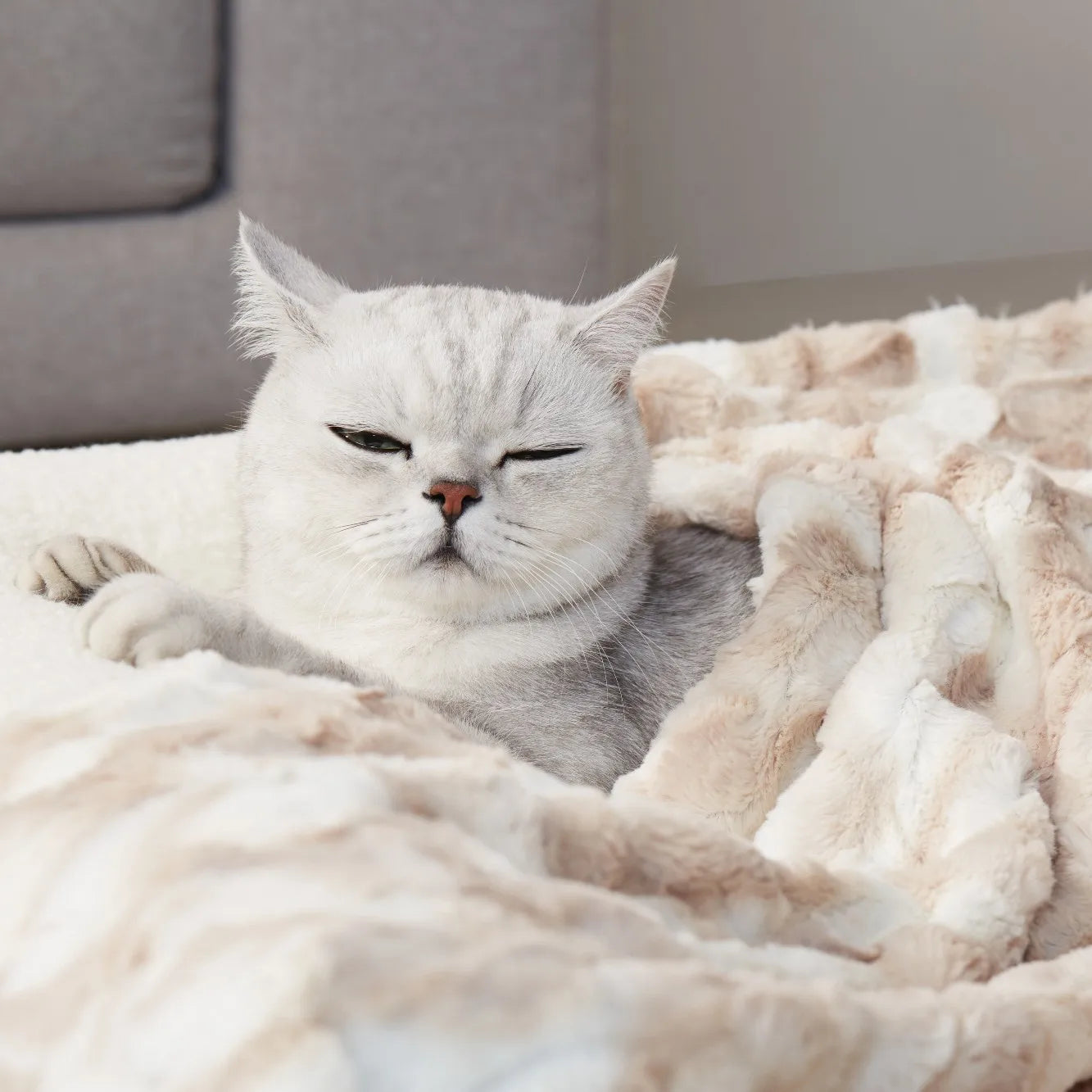 Premium Plush Pet Blanket for Cat and Dog