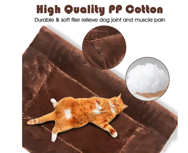 Cat Cushion Bed