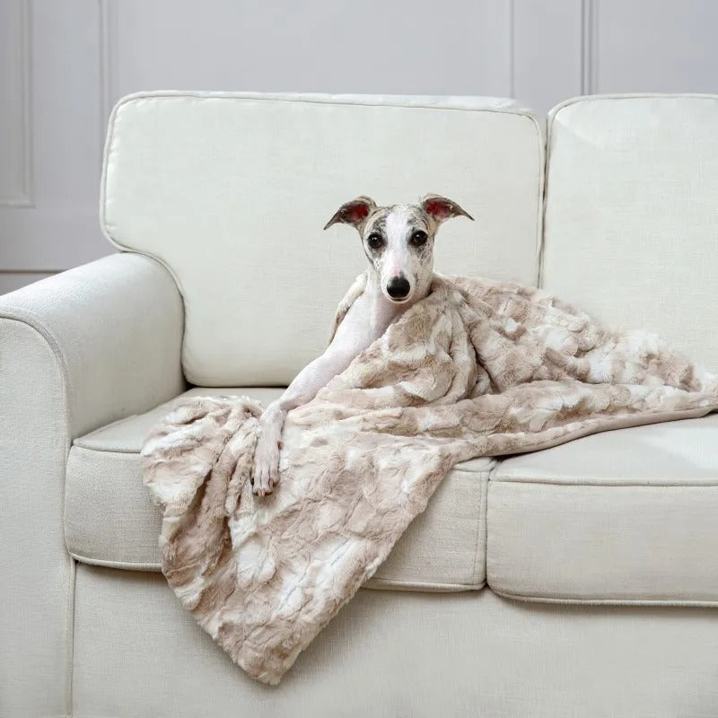 Eco Friendly Plush Pet Dog Blanket 28x40 Inches