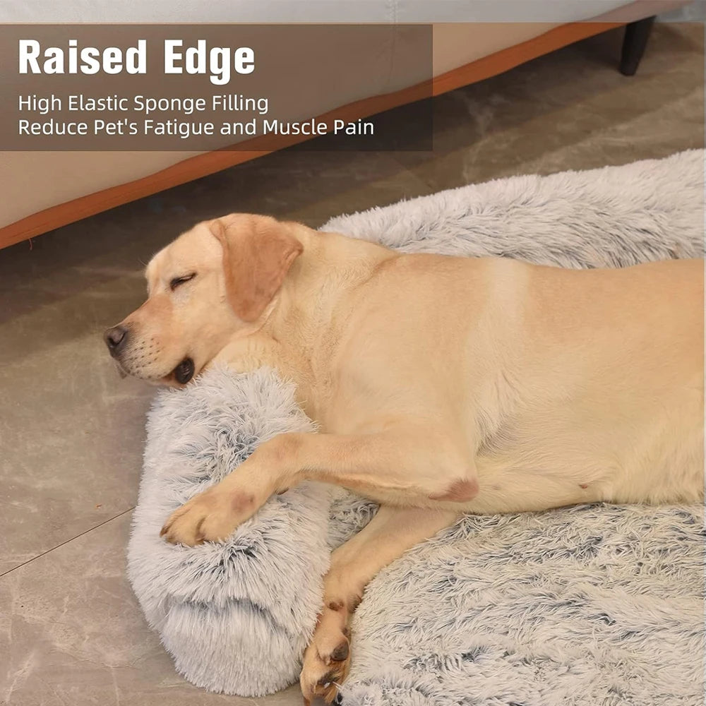 Orthopedic Dog Bed