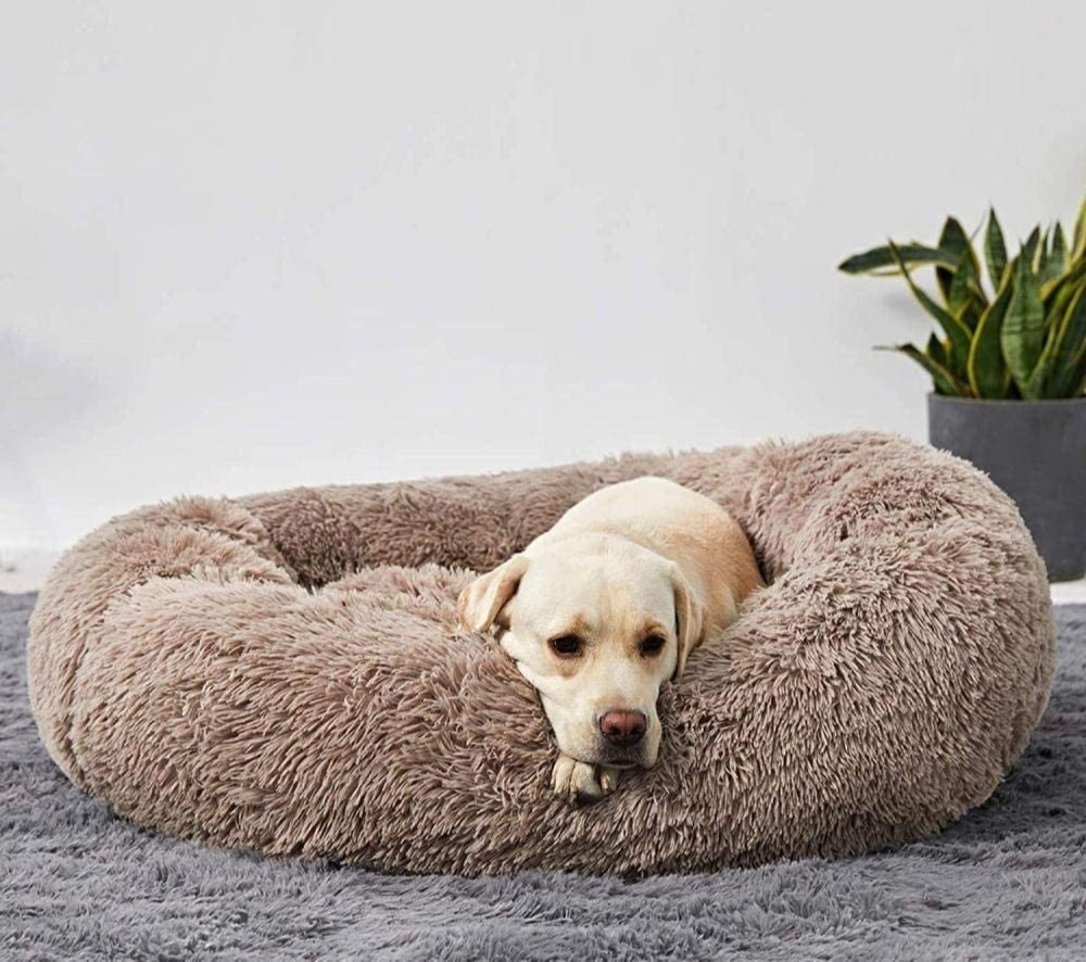 Dog donut bed