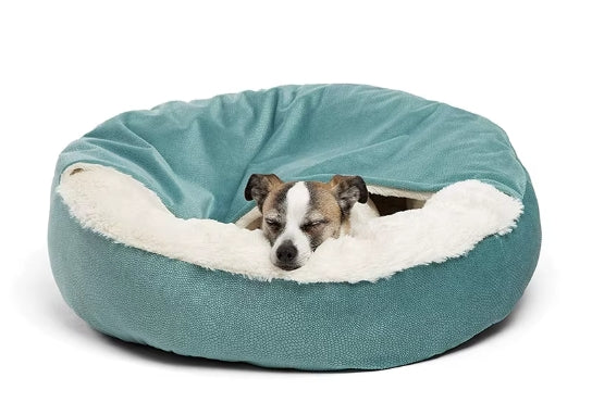 Orthopedic Dog Bed