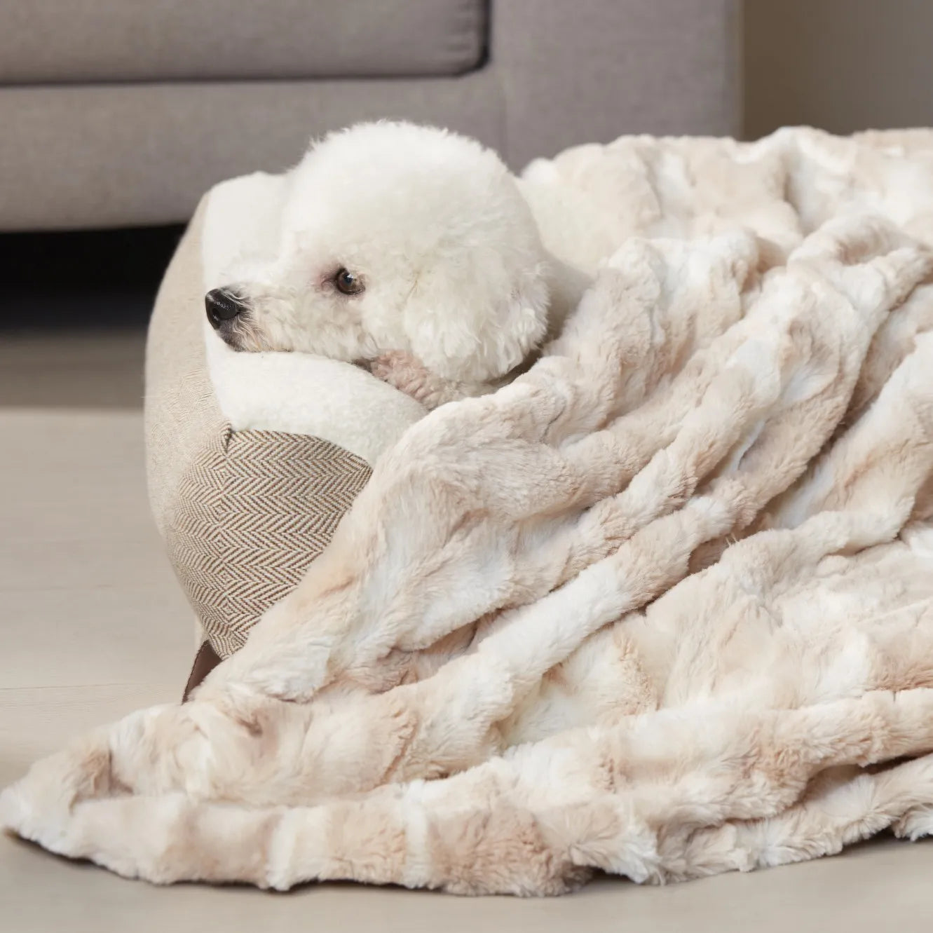 Premium Plush Pet Blanket for Cat and Dog