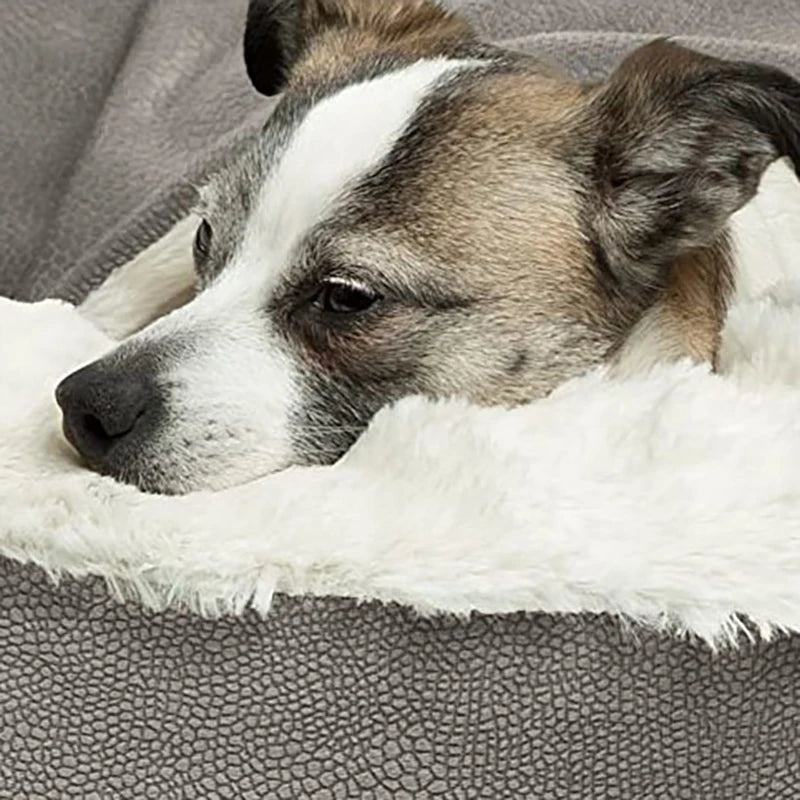 PawComfort™ Orthopedic Calming Donut Bed