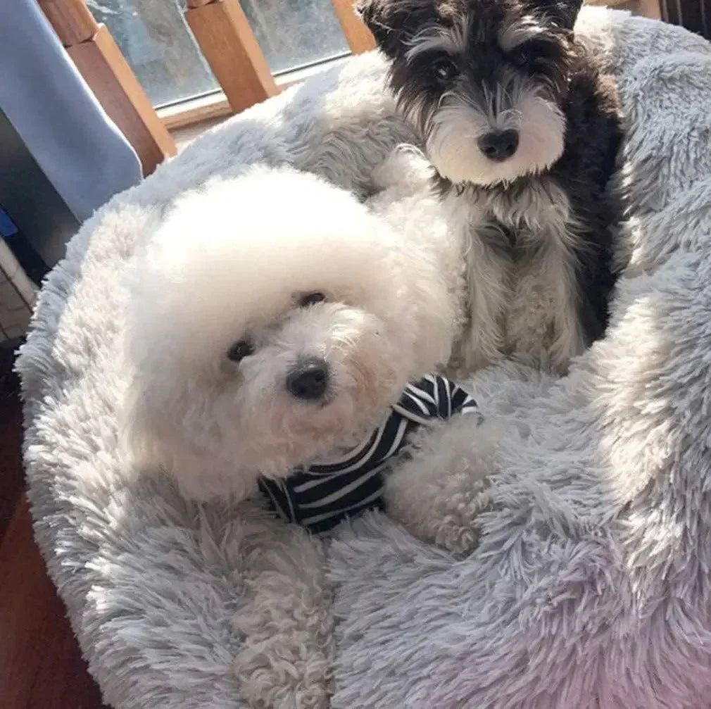 SnuggleSphere™ Round Donut Calming Tunnel Bed