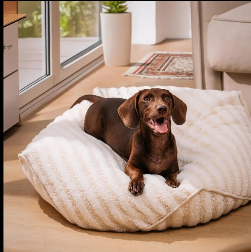 ChillPaws™ Calming Striped Bean Bag Pet Bed