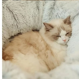 CozyCave™ Round Donut Calming Tunnel Cat Bed