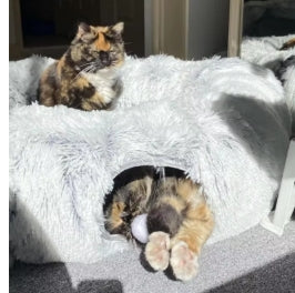 CozyCave™ Round Donut Calming Tunnel Cat Bed