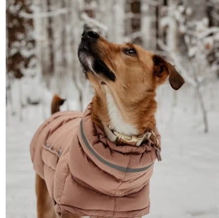 Winter Dog Jacket Vest – Warm, Windproof Coat for Small Breeds