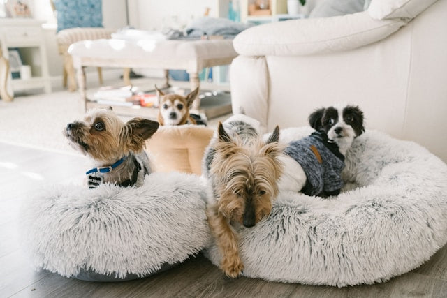 Calming Donut Pet Bed– Fluffy Washable Dog and Cat Round Bed