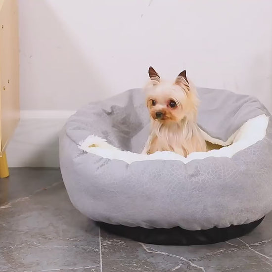 Small Dog Bed